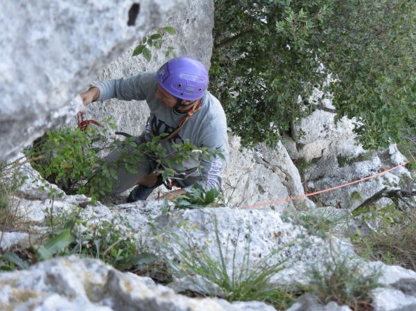 Clicca per ingrandire l'immagine