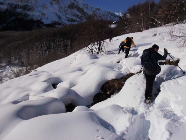 Clicca per ingrandire l'immagine