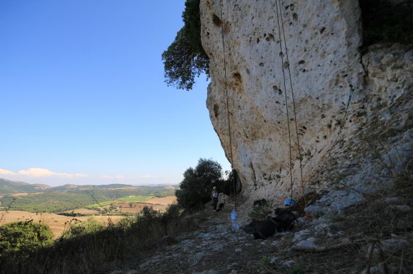 Clicca per ingrandire l'immagine