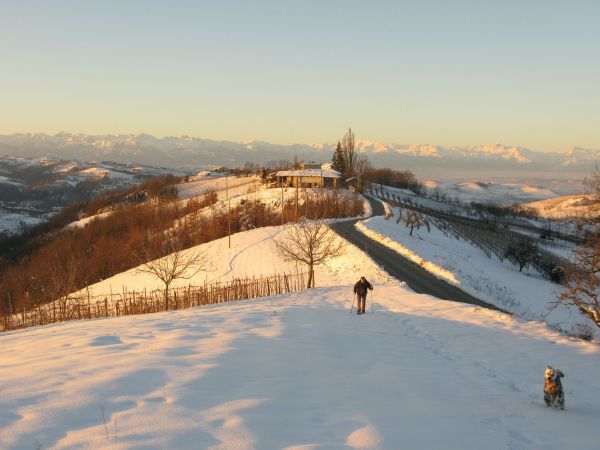 Clicca per ingrandire l'immagine